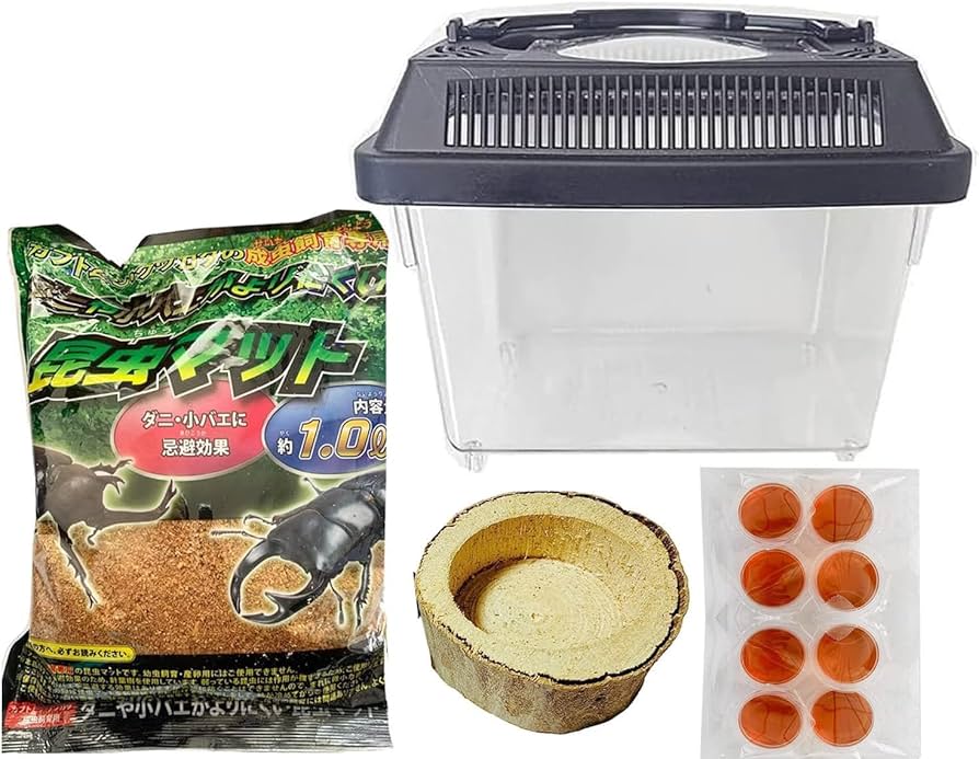 Amazon | カブトムシ＆クワガタ 飼育セット（ 飼育ケース 昆虫